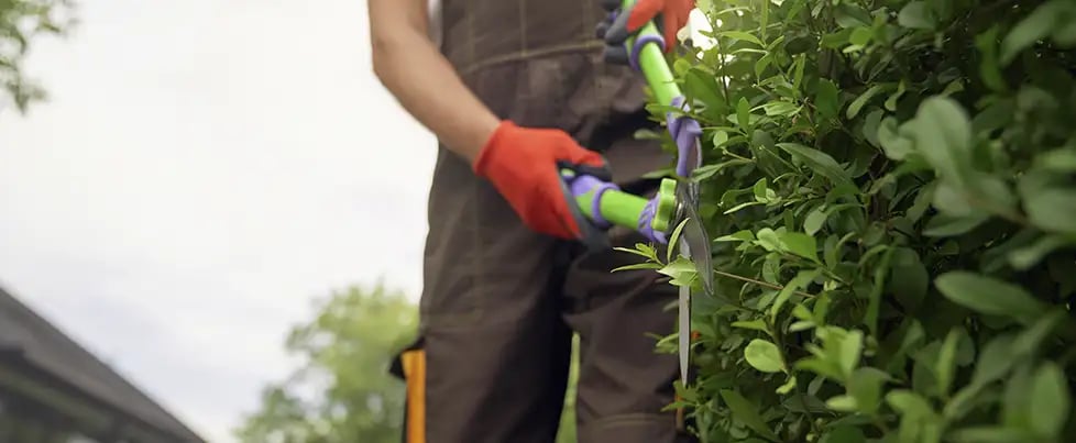 le-conseguimos-la-incapacidad-a-un-jardinero-a-quien-se-la-denegaron-sin-verle-en-persona
